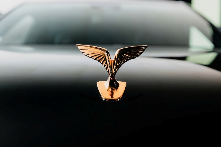 Lạc Hồng 900 LX - chiếc xe sang mang bản sắc văn hóa Việt Nam độc đáo - Ảnh 1. Lạc Hồng 900 LX - chiếc xe sang mang bản sắc văn hóa Việt Nam độc đáo - Ảnh 1.