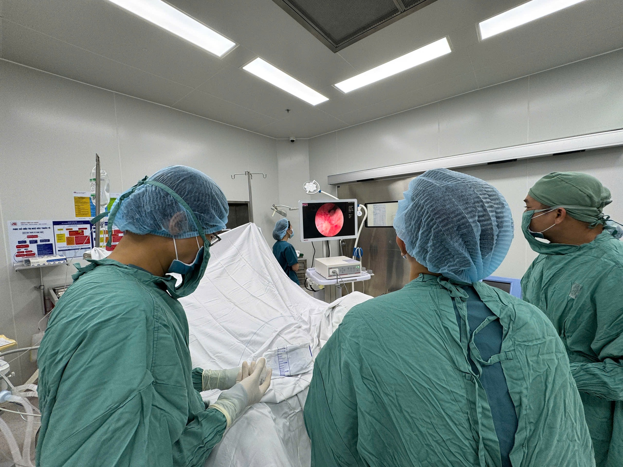 - Ảnh 1. - Ảnh 1.