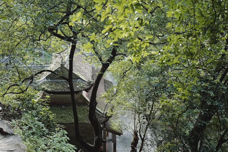 - Ảnh 5. - Ảnh 5.