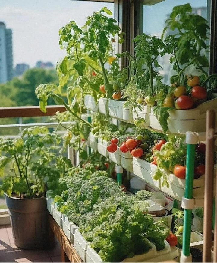 7 dấu hiệu phong thủy tốt cho nhà bạn mang lại may mắn - Ảnh 1.