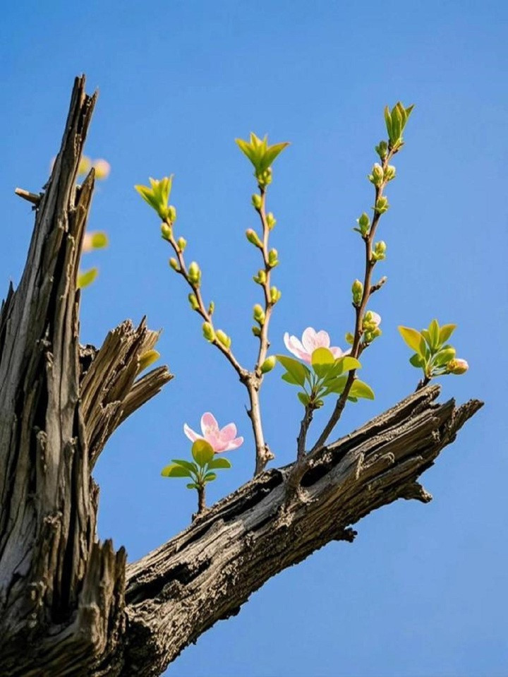 7 dấu hiệu phong thủy tốt cho nhà bạn mang lại may mắn - Ảnh 3.