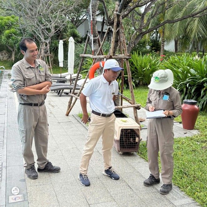 Fanpage của Vinpearl Nha Trang thông báo về tình trạng của đàn vịt Fanpage của Vinpearl Nha Trang thông báo về tình trạng của đàn vịt