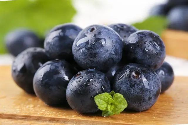 Bác Sĩ Cho Biết - 4 Loại Trái Cây Này Chứa Đầy Kho Báu, Người Trung Niên Và Người Cao Tuổi Nên Ăn Thường Xuyên Để Tăng Cường Miễn Dịch- Ảnh 3.