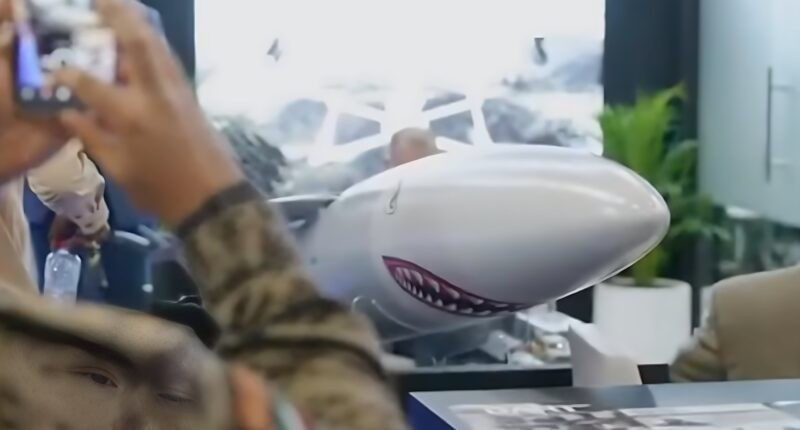 Tên lửa hành trình LCCM Mk 2 của UAE và Belarus: Công nghệ vũ khí tầm xa đột phá - Ảnh 1.