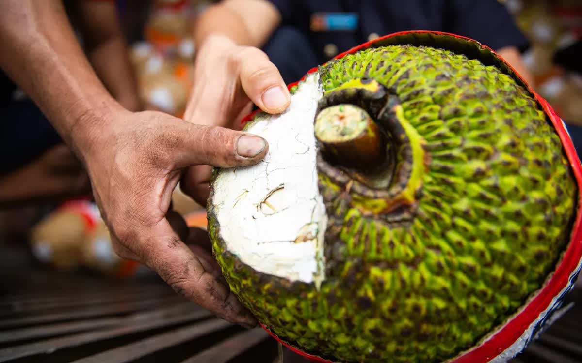 Mít tươi xuất khẩu chính ngạch sang Trung Quốc - Ảnh 1.