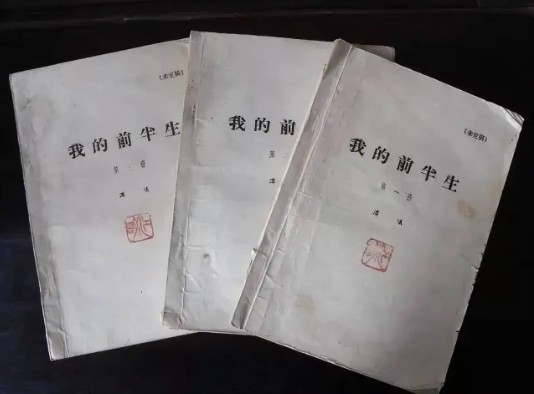 Số tài sản Phổ Nghi để lại gây choáng: Vì sao Lý Thục Hiền theo đuổi vụ kiện 10 năm chỉ để giữ một thứ? - Ảnh 4.