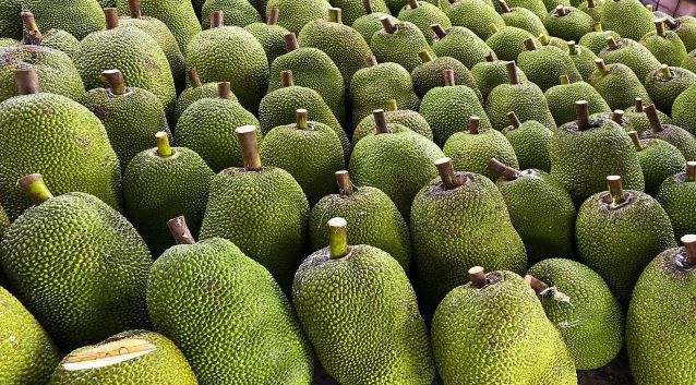 - Ảnh 1. - Ảnh 1.