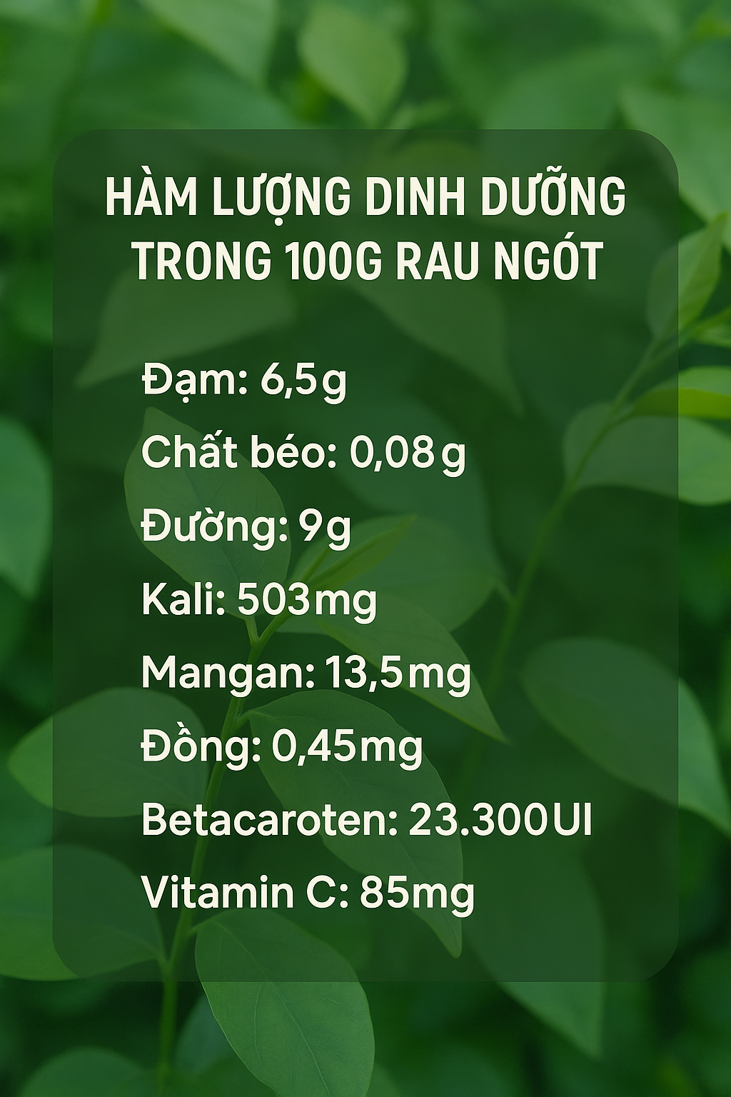 Loại rau nhiều sắt gấp 6 lần thịt bò, giúp bồi bổ sức khỏe: Mọc đầy góc vườn, còn được dùng làm thuốc - Ảnh 1.