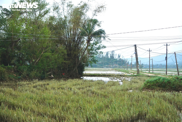 Người đàn ông day dứt mất 3 người thân trong lũ dữ ở Đắk Lắk - Ảnh 7.