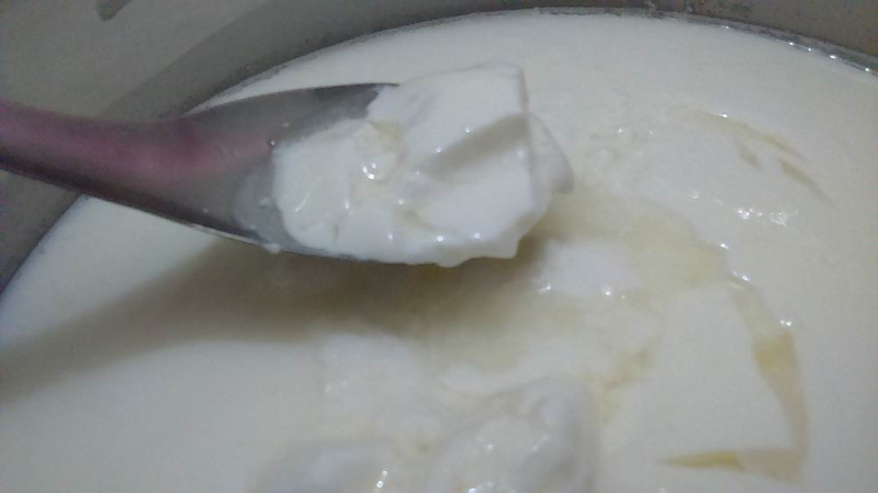 Sữa Chua “Tách Nước” Có Phải Đã Hỏng?- Ảnh 1.