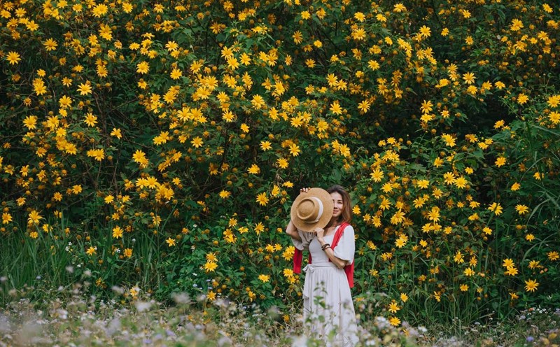 Cảnh tượng ngay lúc này ở Ba Vì, Hà Nội: Du khách trầm trồ nhận xét "Cả năm chỉ có 1 lần!"- Ảnh 10.