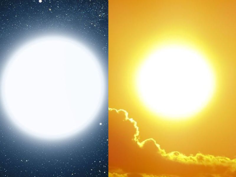 Những sự thật kỳ lạ tr&ecirc;n thế giới m&agrave; ai cũng nghĩ l&agrave; 