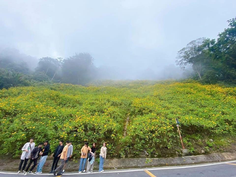 Cảnh tượng ngay lúc này ở Ba Vì, Hà Nội: Du khách trầm trồ nhận xét "Cả năm chỉ có 1 lần!"- Ảnh 3.
