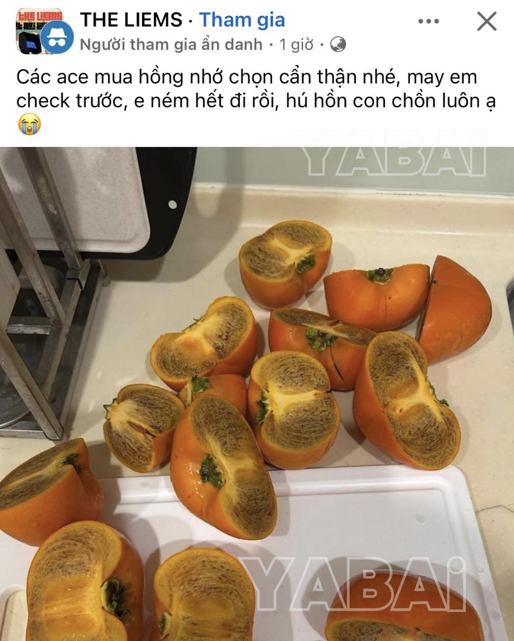 Loại hồng lạ đắt hơn hồng thường, không bị chát: Người Nhật xem là "của hiếm", ai không biết lại vứt đi- Ảnh 1. Loại hồng lạ đắt hơn hồng thường, không bị chát: Người Nhật xem là "của hiếm", ai không biết lại vứt đi- Ảnh 1.