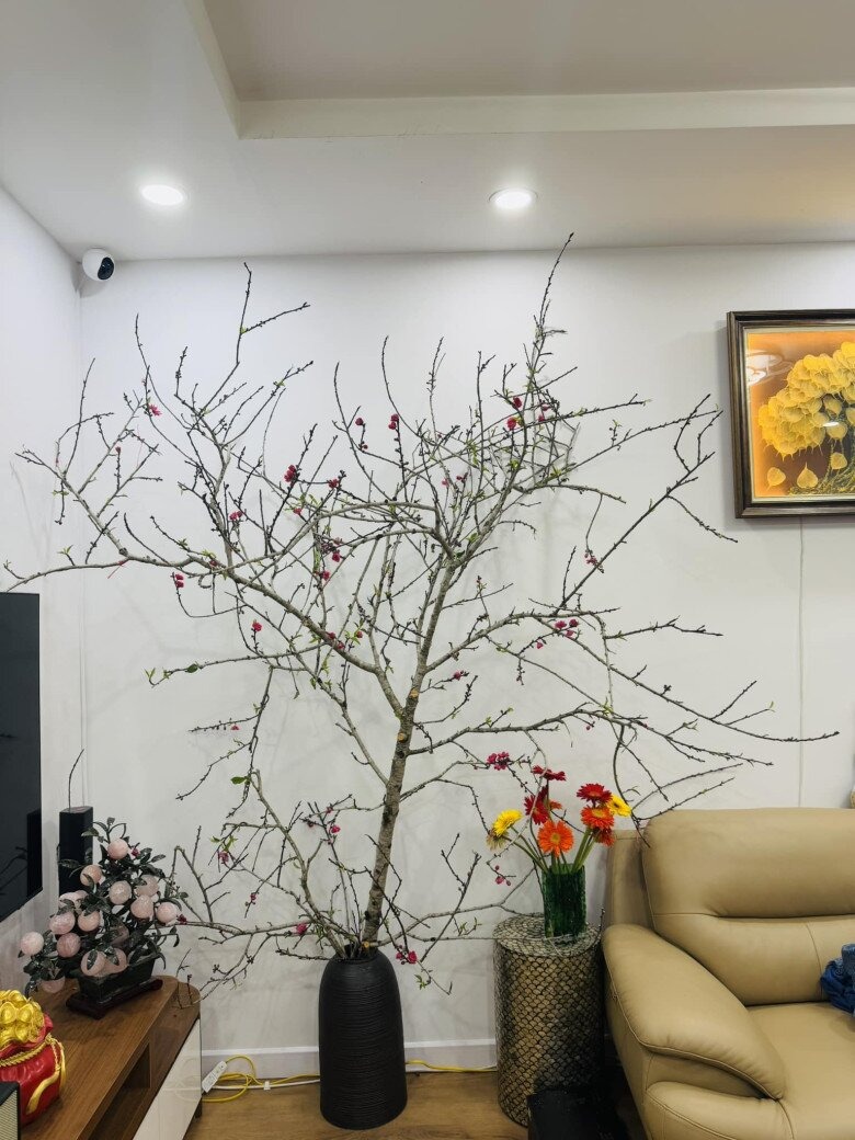 NSND C&ocirc;ng L&yacute; đang ở nh&agrave; thu&ecirc;- Ảnh 13.