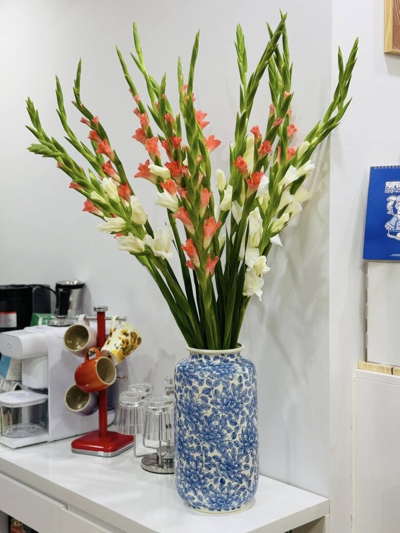 NSND C&ocirc;ng L&yacute; đang ở nh&agrave; thu&ecirc;- Ảnh 15.