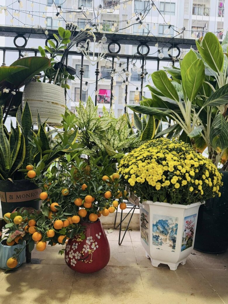 NSND C&ocirc;ng L&yacute; đang ở nh&agrave; thu&ecirc;- Ảnh 6.