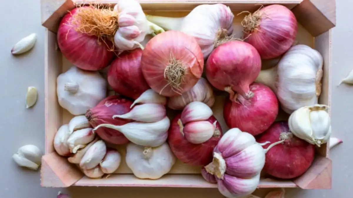 7 loại m&ugrave;i rắn rất sợ: Để quanh nh&agrave; rắn sẽ kh&ocirc;ng d&aacute;m tới gần- Ảnh 5.