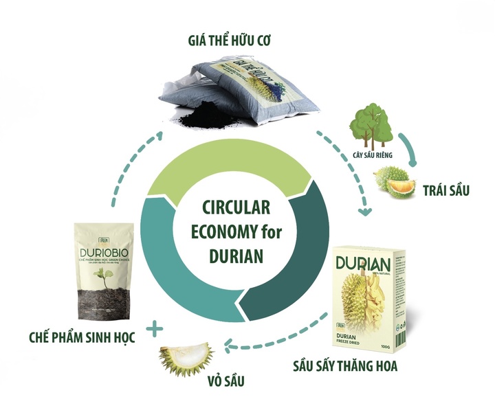 Sinh viên 'hô biến' vỏ sầu riêng thức ăn chăn nuôi- Ảnh 2.