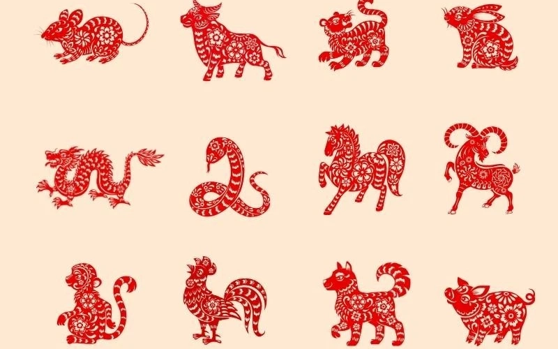 Tử vi tuần mới (1/12-7/12): 3 con giáp nhiều lộc lá nhất: Vận tài chính mạnh, cơ hội kiếm tiền bất ngờ