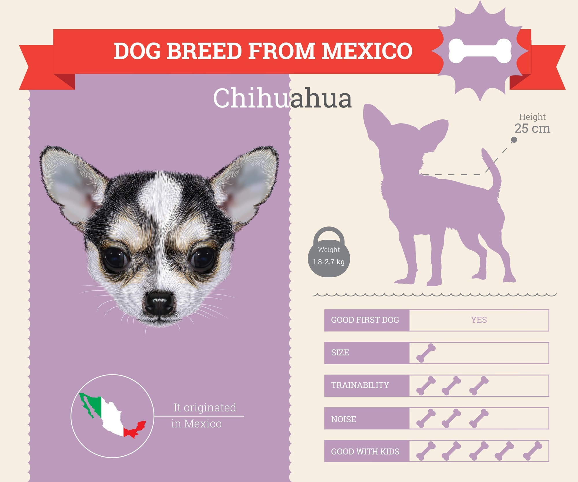 Sự thật ngỡ ngàng: Đến Chihuahua cũng mang dòng máu "sói" trong mình - Ảnh 1.