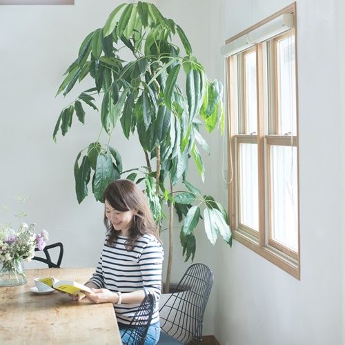 Người trung niên mua nhà: Tầng 5 hay tầng 25 giúp sống tiện hơn – tiết kiệm hơn?- Ảnh 2.