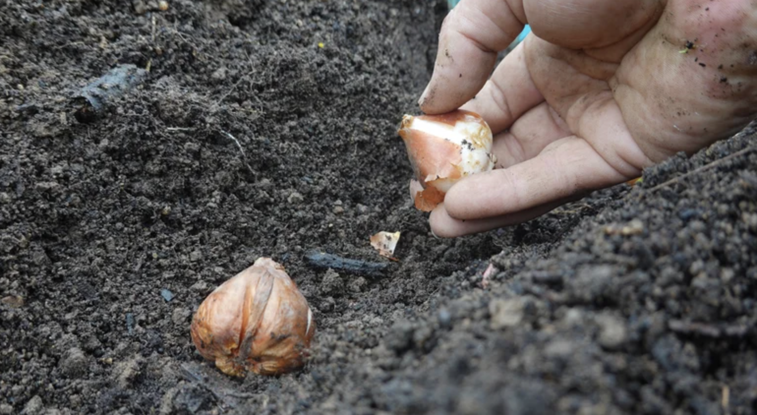 - Ảnh 3. - Ảnh 3.