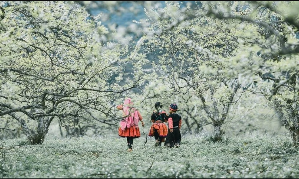 Sánh vai Mỹ và UAE, Việt Nam bất ngờ lọt top 16 điểm đến mùa đông lý tưởng nhất thế giới 2025–2026 - Ảnh 6.