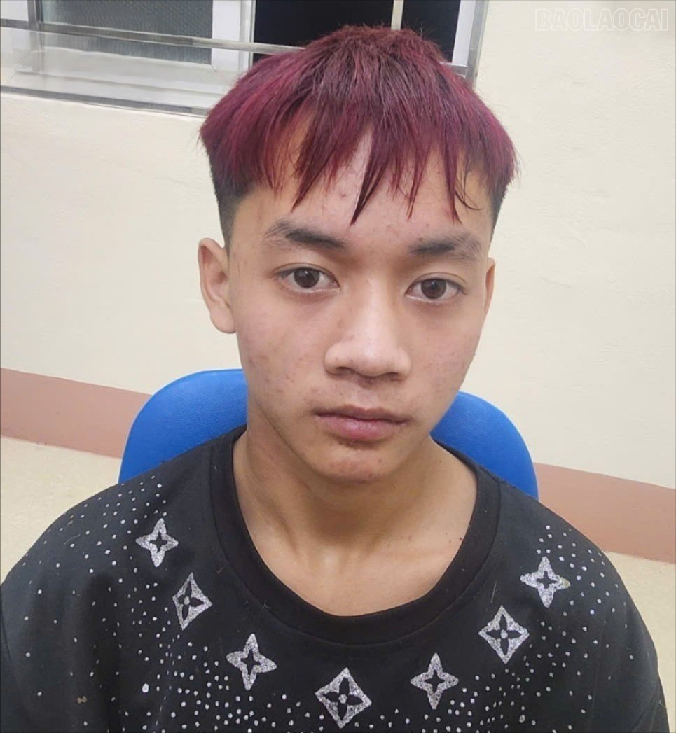 Bắt đối tượng hiếp dâm trẻ em rồi bỏ trốn- Ảnh 1.