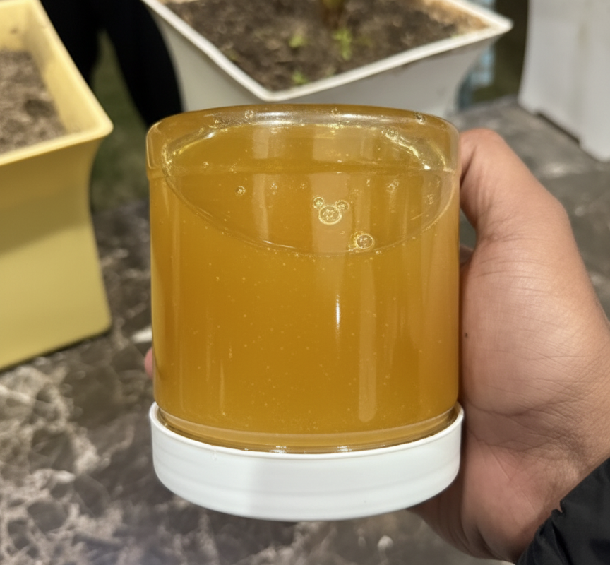 Tại sao phải lật ngược lọ mật ong khi mua? 5 mẹo "bắt bài" mật ong giả người "sành" mới biết- Ảnh 1.