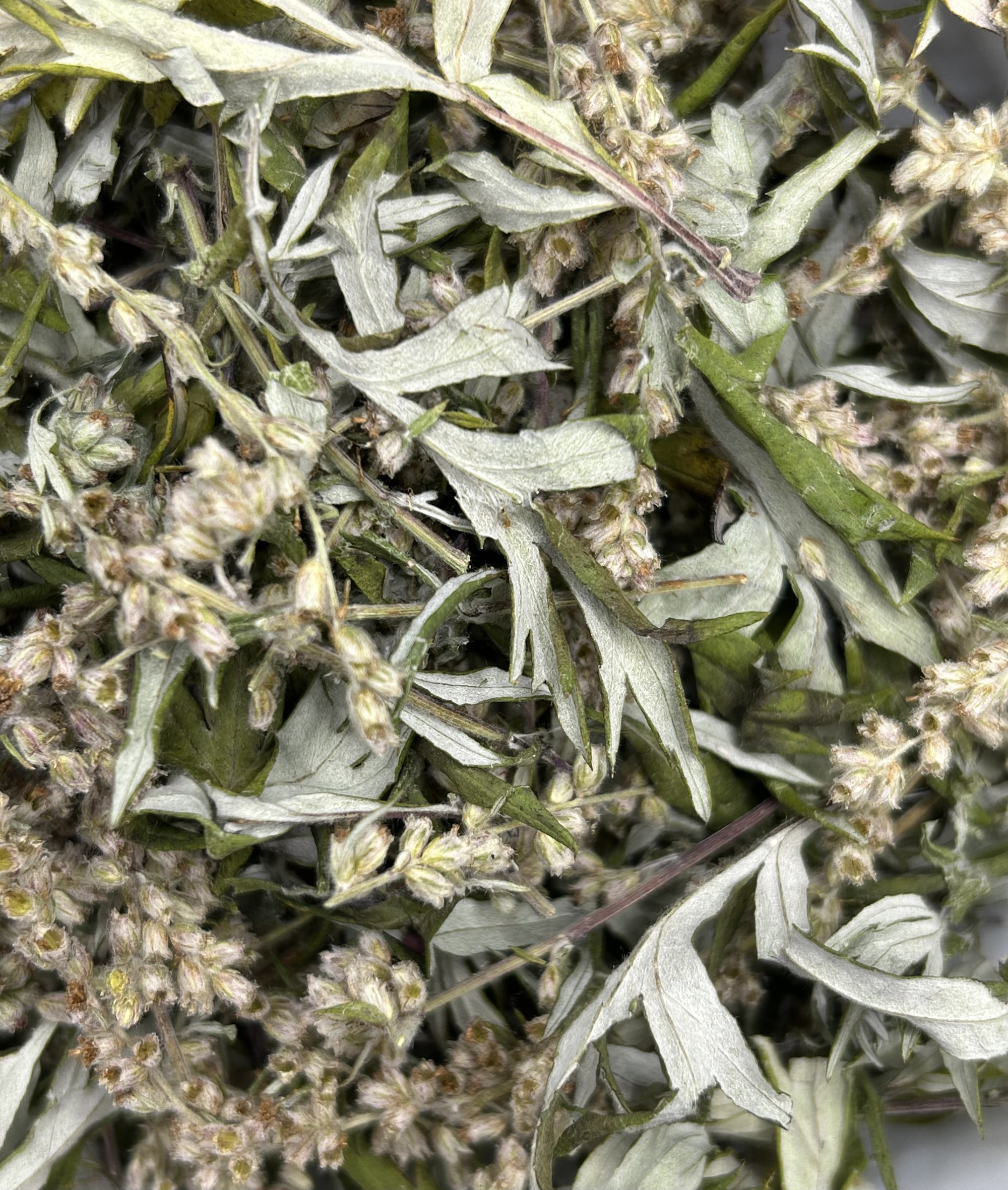 Loại Rau Được Người Trung Quốc Ví Là 