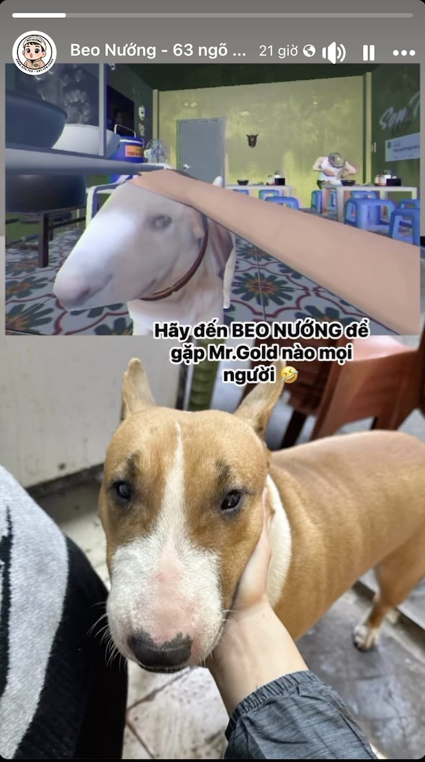 Quán nướng có chú chó giống trong game Quán nướng có chú chó giống trong game