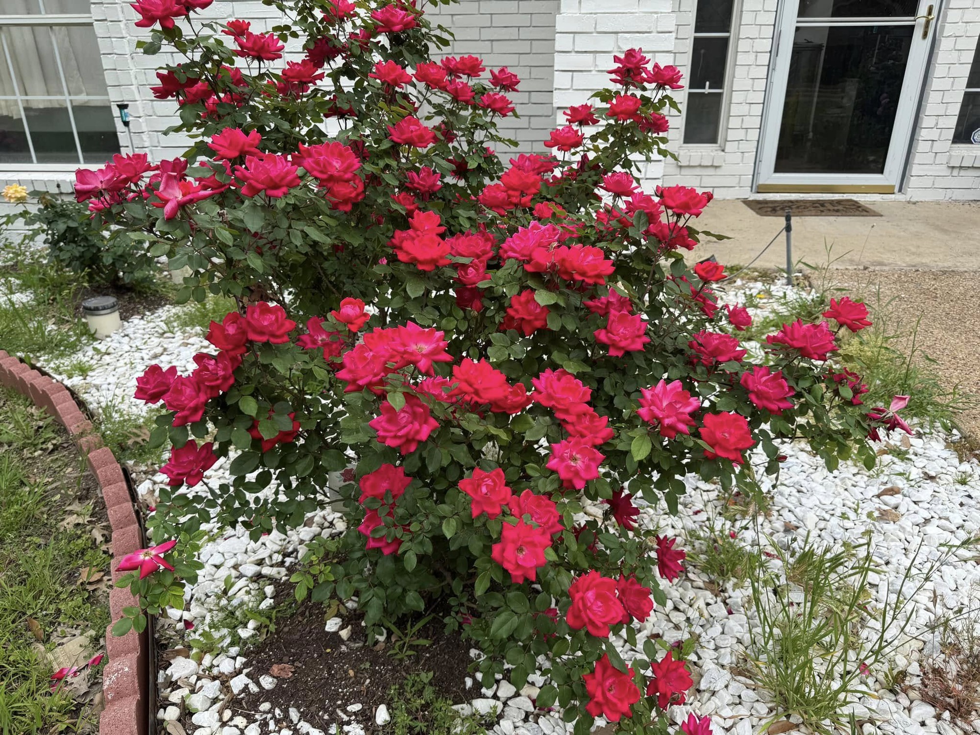 Toàn cảnh bất động sản của "anh Bo" Đan Trường trải dài từ Việt Nam đến Mỹ- Ảnh 12. Toàn cảnh bất động sản của "anh Bo" Đan Trường trải dài từ Việt Nam đến Mỹ- Ảnh 12.