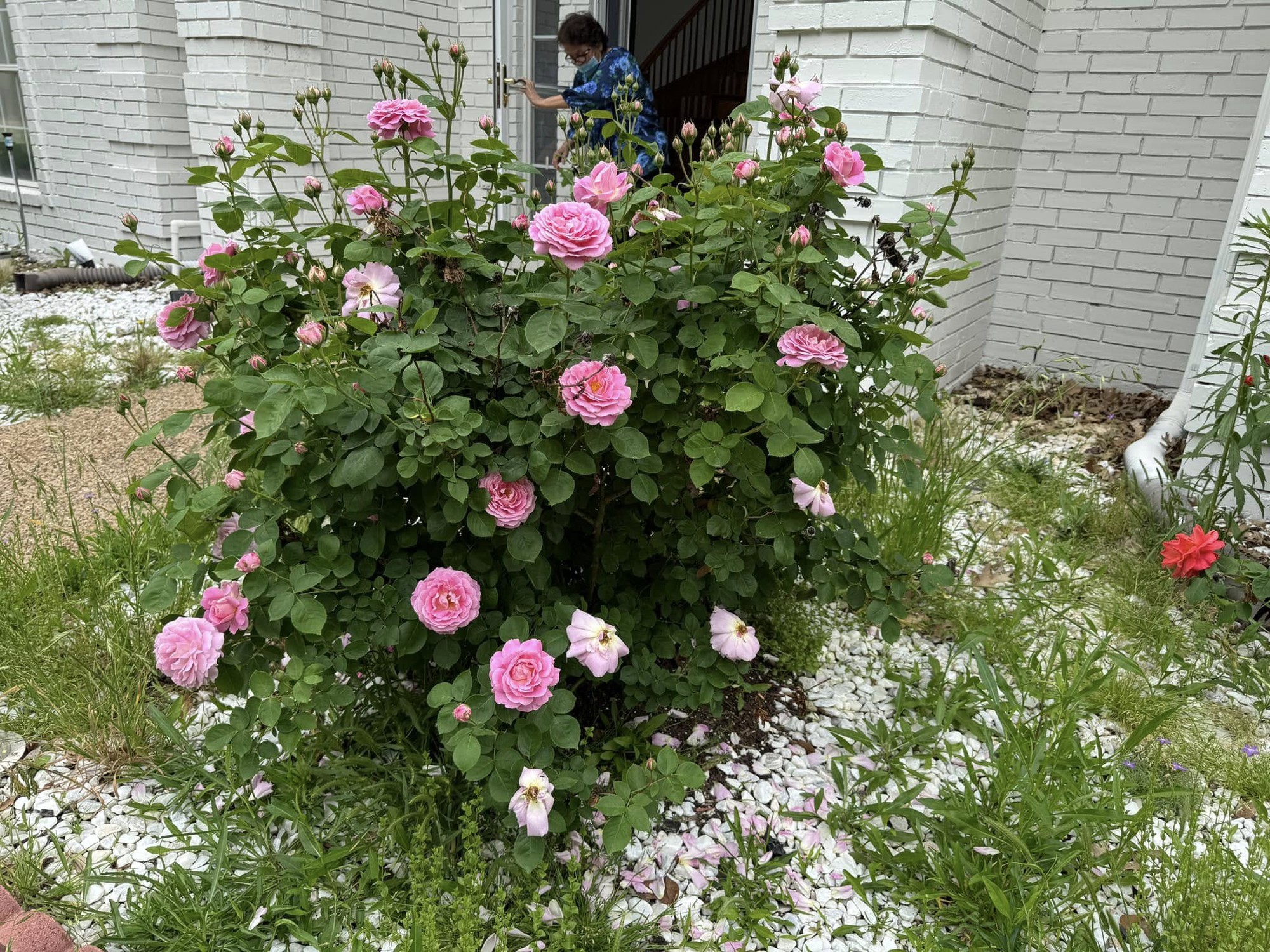 Toàn cảnh bất động sản của "anh Bo" Đan Trường trải dài từ Việt Nam đến Mỹ- Ảnh 10. Toàn cảnh bất động sản của "anh Bo" Đan Trường trải dài từ Việt Nam đến Mỹ- Ảnh 10.