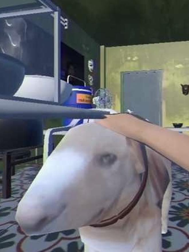 Th&ocirc;ng b&aacute;o khẩn từ chủ qu&aacute;n nướng H&agrave; Nội c&oacute; ch&uacute; ch&oacute; giống hệt &ldquo;cậu V&agrave;ng&rdquo; trong game Phở Anh Hai- Ảnh 1.