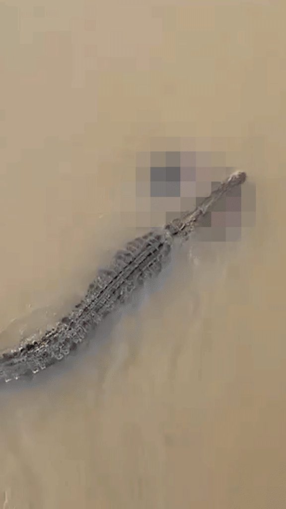 Người phụ nữ ra s&ocirc;ng tắm bất ngờ bị k&eacute;o đi, người d&acirc;n hoảng loạn la h&eacute;t trong bất lực- Ảnh 1.