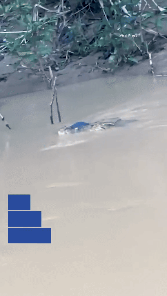 Người phụ nữ ra s&ocirc;ng tắm bất ngờ bị k&eacute;o đi, người d&acirc;n hoảng loạn la h&eacute;t trong bất lực- Ảnh 2.