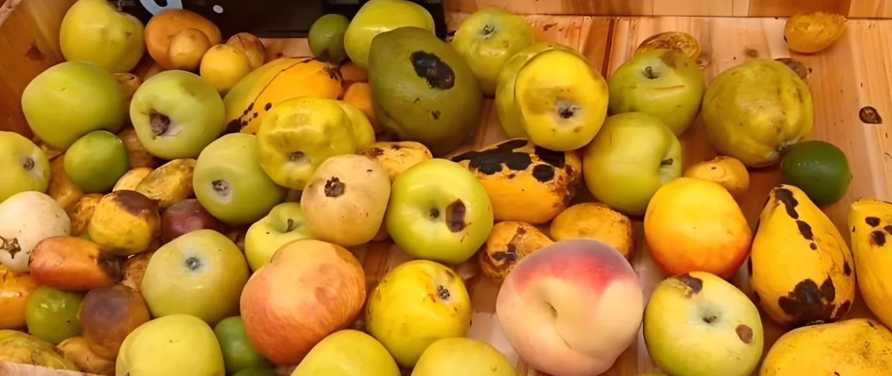 6 Lối Tiết Kiệm Mù Quáng: Dẫn Lối Ung Thư, Đào Hố Chôn Mình- Ảnh 4. 6 Lối Tiết Kiệm Mù Quáng: Dẫn Lối Ung Thư, Đào Hố Chôn Mình- Ảnh 4.