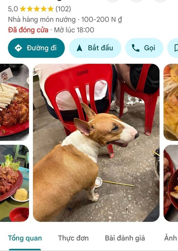 Th&ocirc;ng b&aacute;o khẩn từ chủ qu&aacute;n nướng H&agrave; Nội c&oacute; ch&uacute; ch&oacute; giống hệt &ldquo;cậu V&agrave;ng&rdquo; trong game Phở Anh Hai- Ảnh 11.