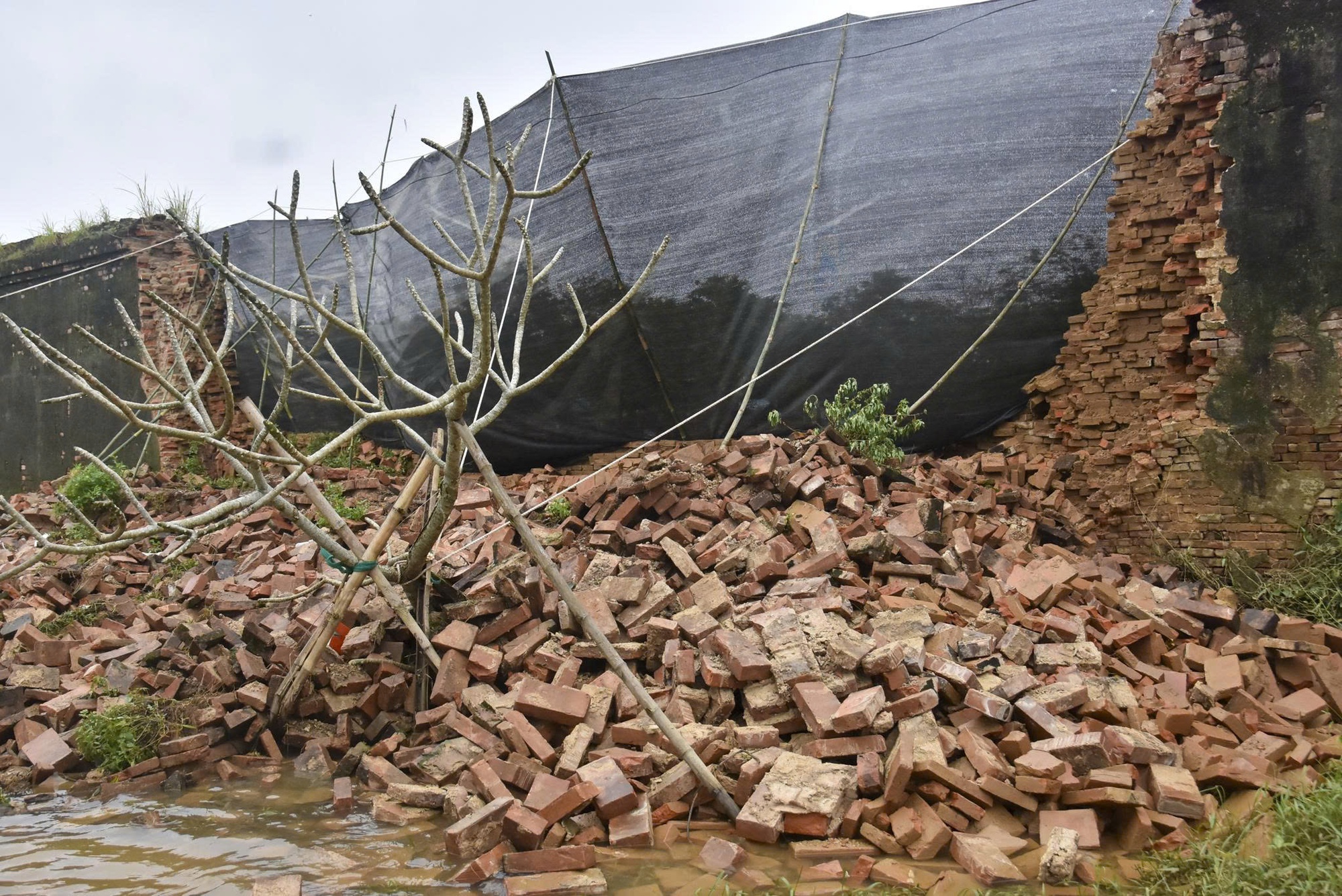 Giám đốc Trung tâm Bảo tồn Di tích Cố đô Huế tiết lộ hiện tượng trước khi tường Hoàng thành sập- Ảnh 5.