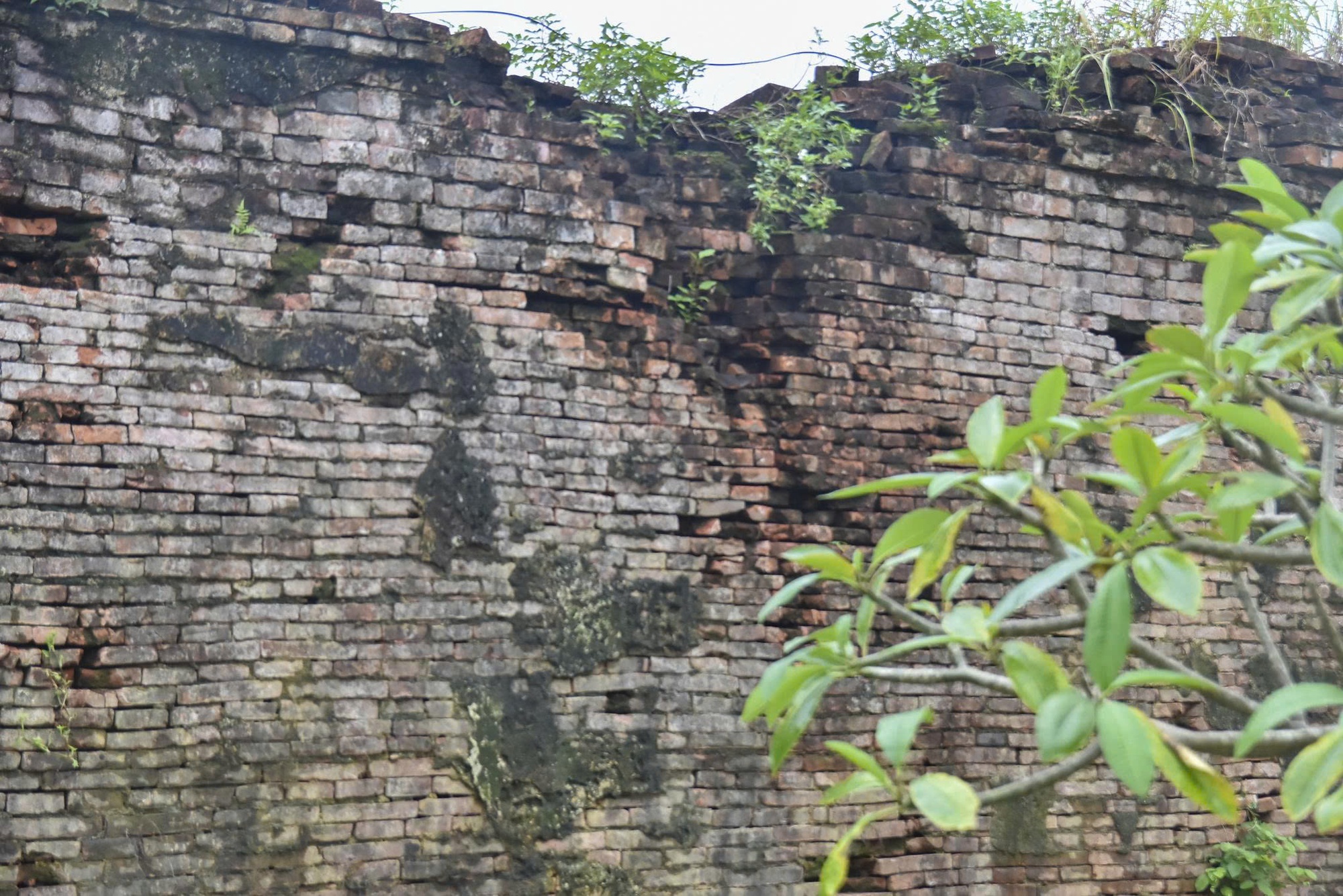 Giám đốc Trung tâm Bảo tồn Di tích Cố đô Huế tiết lộ hiện tượng trước khi tường Hoàng thành sập- Ảnh 6.