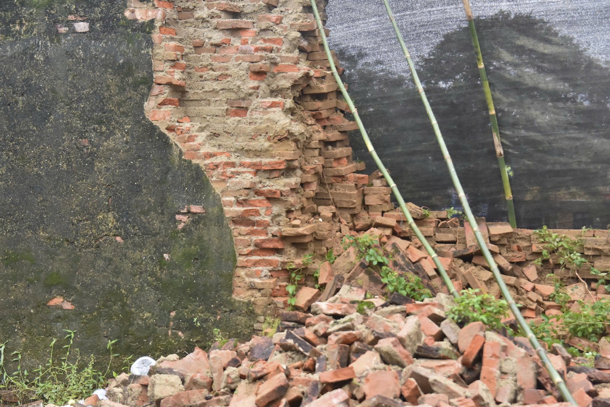 Giám đốc Trung tâm Bảo tồn Di tích Cố đô Huế tiết lộ hiện tượng trước khi tường Hoàng thành sập- Ảnh 3.