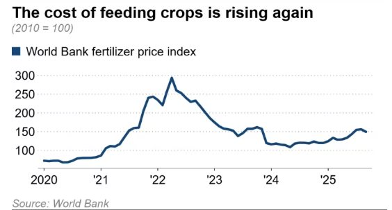 Sau đất hiếm, Trung Quốc siết xuất khẩu mặt hàng góp phần nuôi sống thế giới, làm rung chuyển thị trường lương thực toàn cầu- Ảnh 3.
