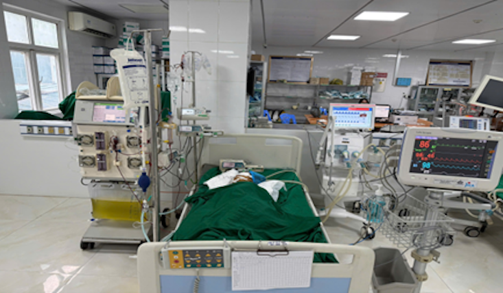 Bé Gái 9 Tuổi Nguy Kịch Vì Bị Đàn Ong Vò Vẽ Đốt Hơn 50 Nốt- Ảnh 1.