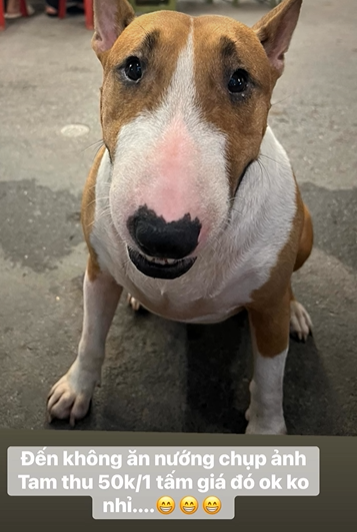 Th&ocirc;ng b&aacute;o khẩn từ chủ qu&aacute;n nướng H&agrave; Nội c&oacute; ch&uacute; ch&oacute; giống hệt &ldquo;cậu V&agrave;ng&rdquo; trong game Phở Anh Hai- Ảnh 7.