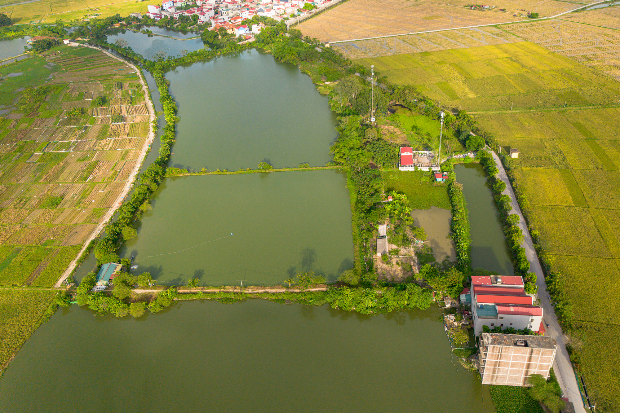 Toàn cảnh khu đất rộng gấp rưỡi phường Hoàn Kiếm, sắp được Vingroup đầu tư 41.000 tỷ làm khu đô thị ở Bắc Ninh- Ảnh 13. Toàn cảnh khu đất rộng gấp rưỡi phường Hoàn Kiếm, sắp được Vingroup đầu tư 41.000 tỷ làm khu đô thị ở Bắc Ninh- Ảnh 13.