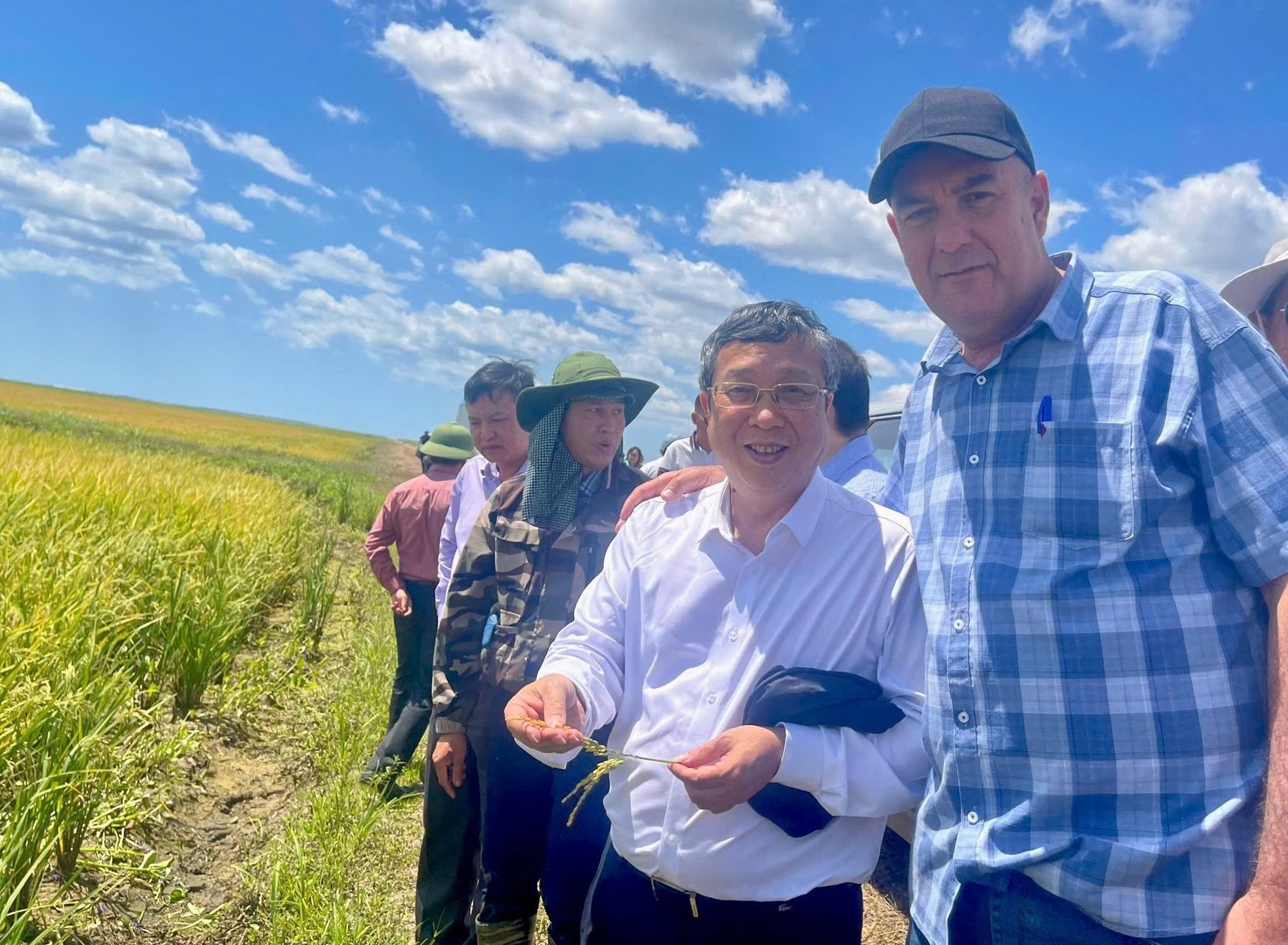 Giống lúa của Việt Nam "gây bão" ở Cuba: Bộ trưởng Cuba khen “thơm ngon, chất lượng tốt”- Ảnh 1. Giống lúa của Việt Nam "gây bão" ở Cuba: Bộ trưởng Cuba khen “thơm ngon, chất lượng tốt”- Ảnh 1.