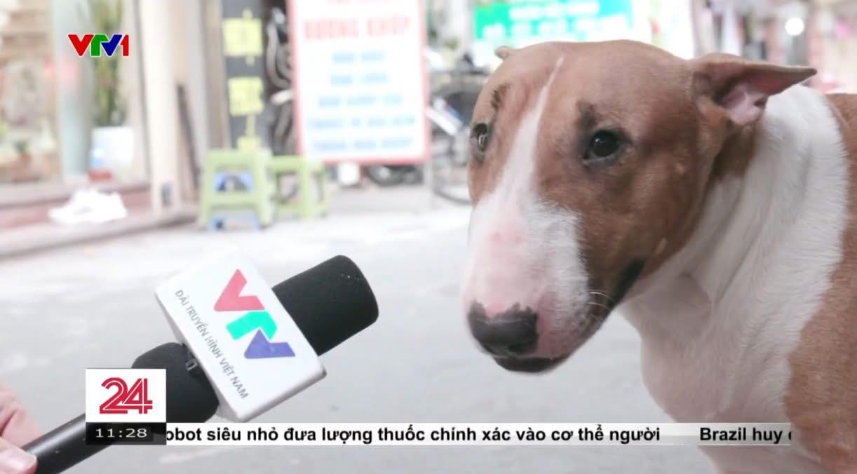 “Quán phở của anh Hai” – khi đời sống Việt Nam trở thành chất liệu cho game- Ảnh 2.