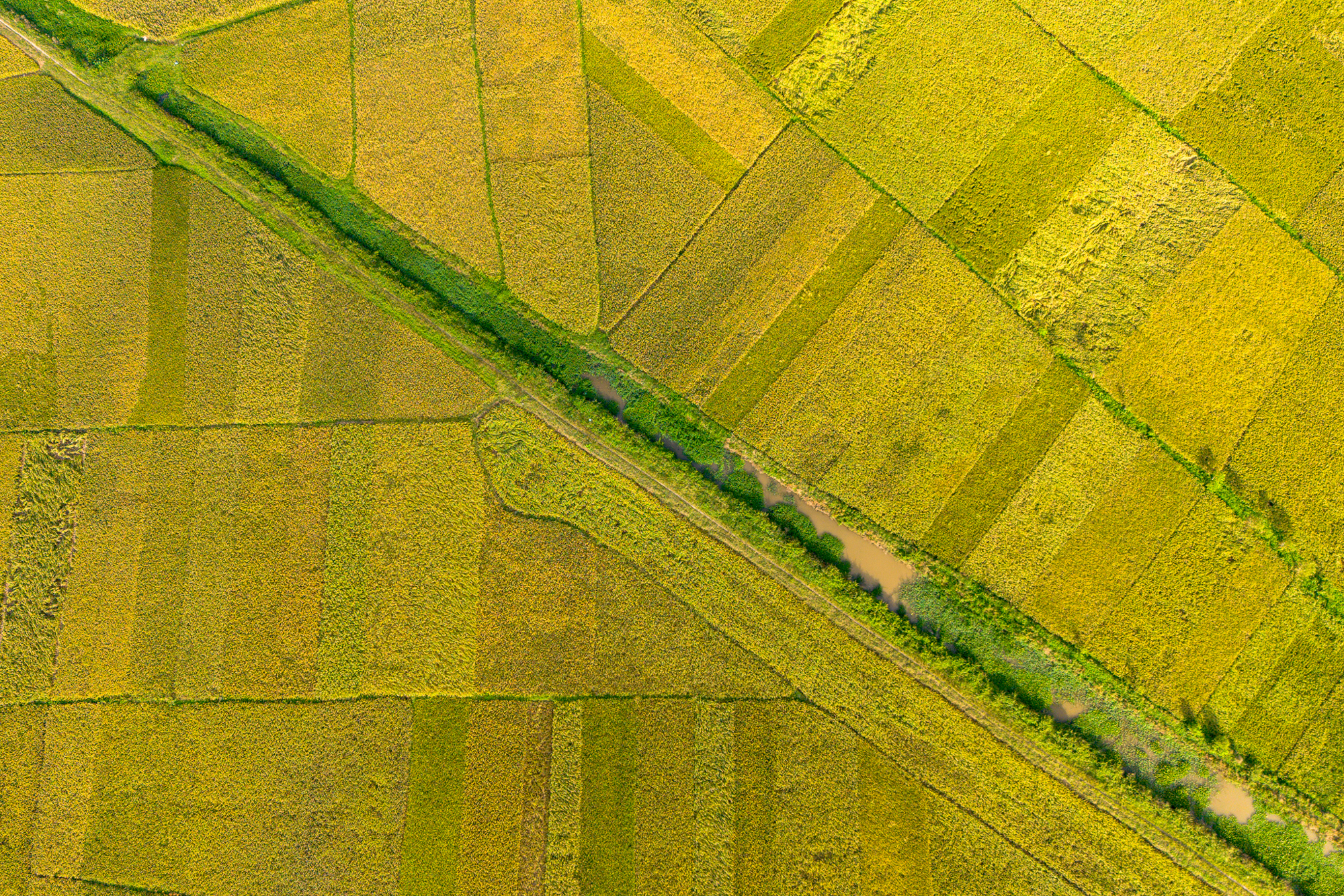 Toàn cảnh khu đất rộng gấp rưỡi phường Hoàn Kiếm, sắp được Vingroup đầu tư 41.000 tỷ làm khu đô thị ở Bắc Ninh- Ảnh 8. Toàn cảnh khu đất rộng gấp rưỡi phường Hoàn Kiếm, sắp được Vingroup đầu tư 41.000 tỷ làm khu đô thị ở Bắc Ninh- Ảnh 8.