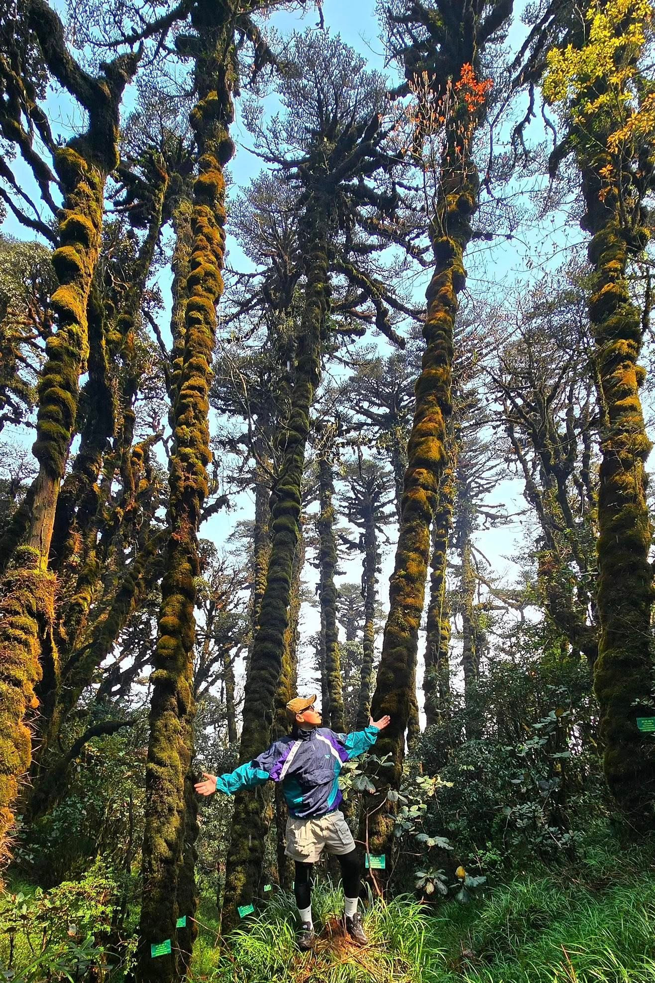 Tận thấy rừng r&ecirc;u b&iacute; ẩn 'bao v&acirc;y' du kh&aacute;ch ở độ cao 2.800m- Ảnh 13.